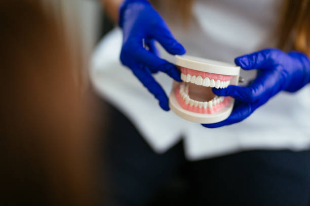 Professional Holistic Dental Care Services in Farwell, TX
